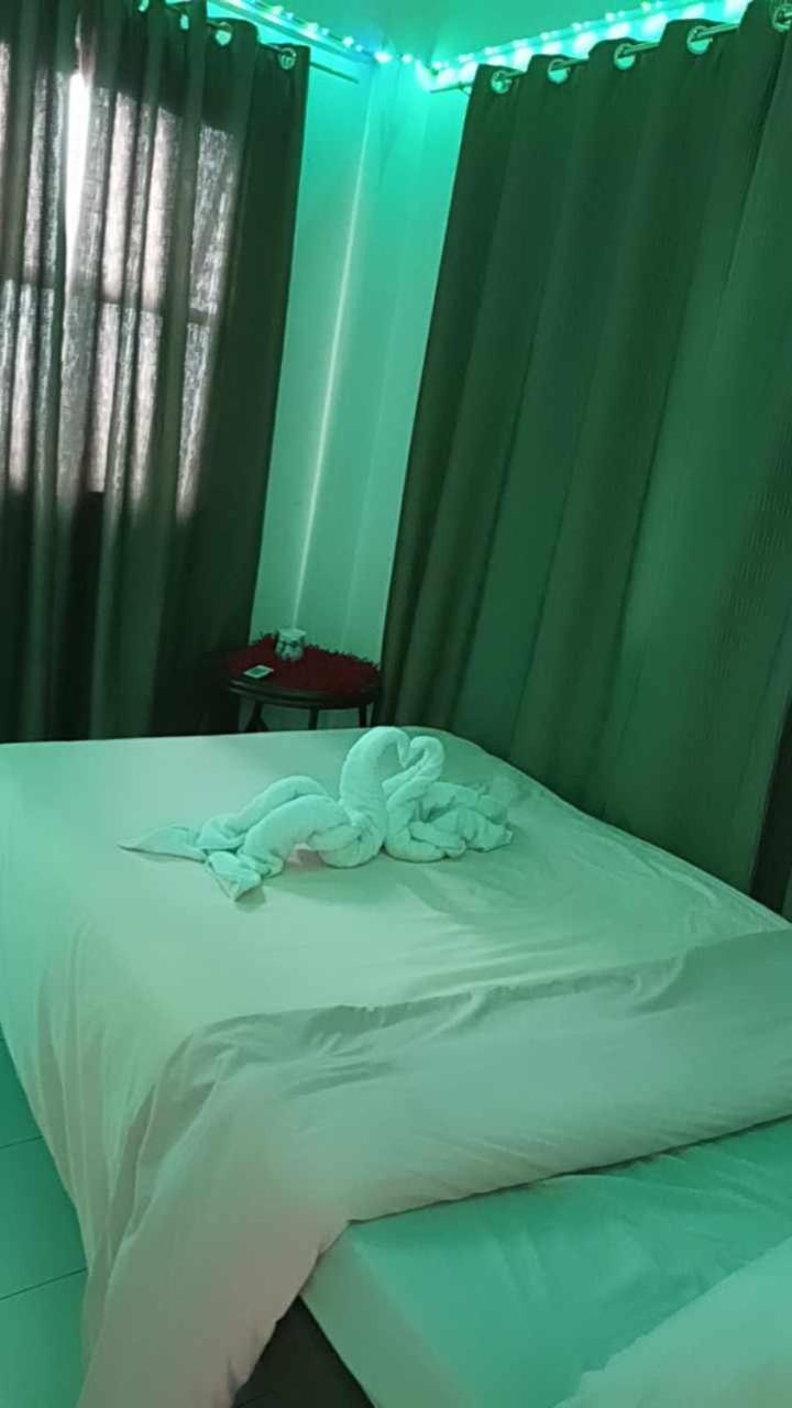 De Hagan Transient باغيو المظهر الخارجي الصورة