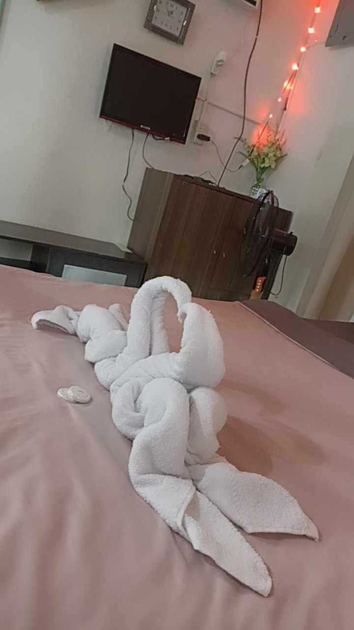 De Hagan Transient باغيو المظهر الخارجي الصورة