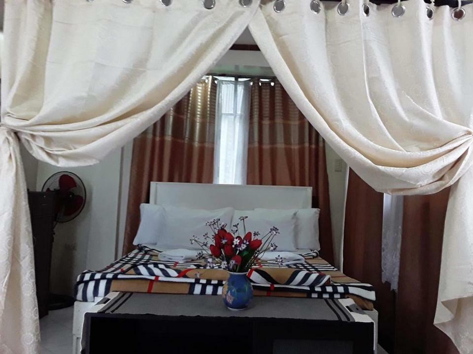 De Hagan Transient باغيو المظهر الخارجي الصورة